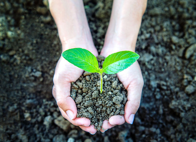 How Every Individual Can Make a Difference