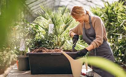 Selecting Plant Species garden toConserve Water