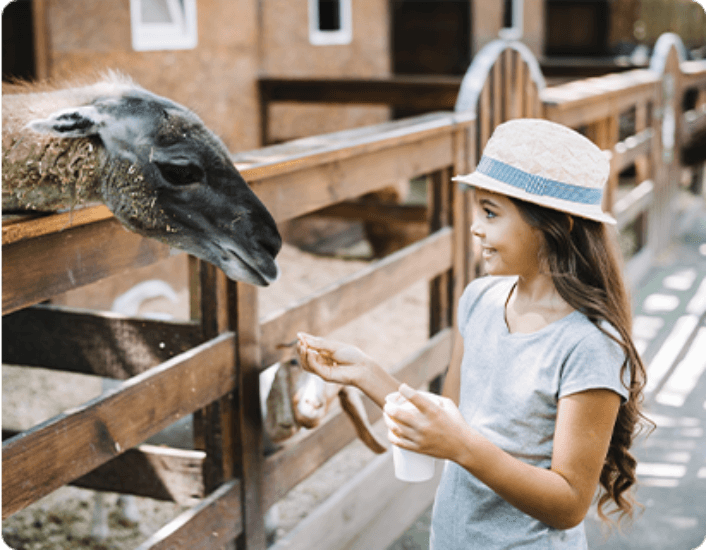 How Spending Time in Nature LikesBoost Your Mood